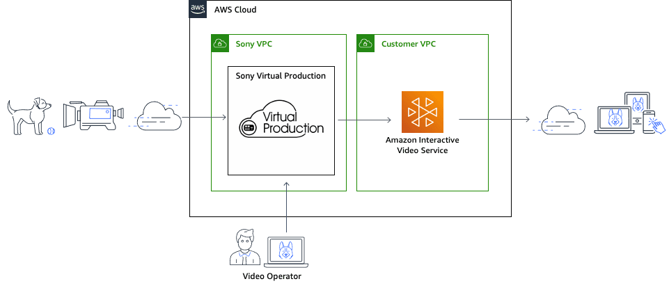 Sony AWS.png